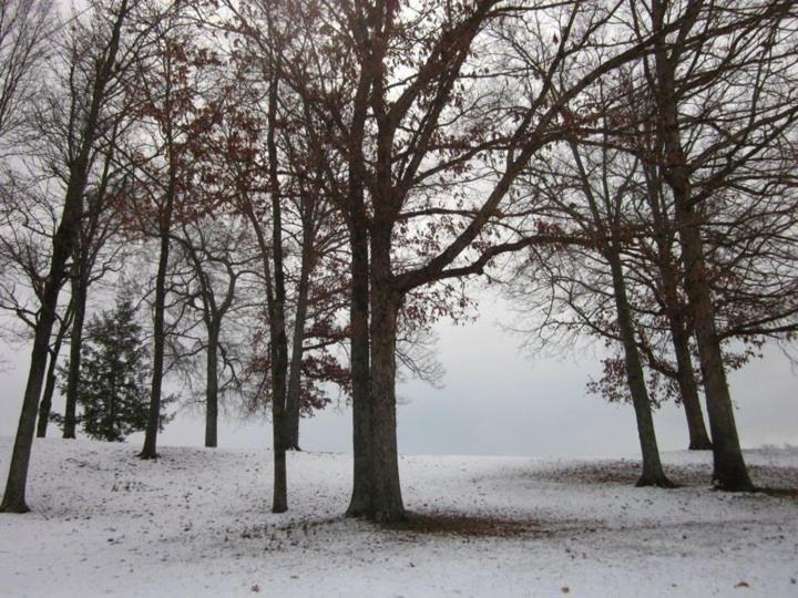 Elder Mountain Room At Tennessee Riverplace Chattanooga Bagian luar foto