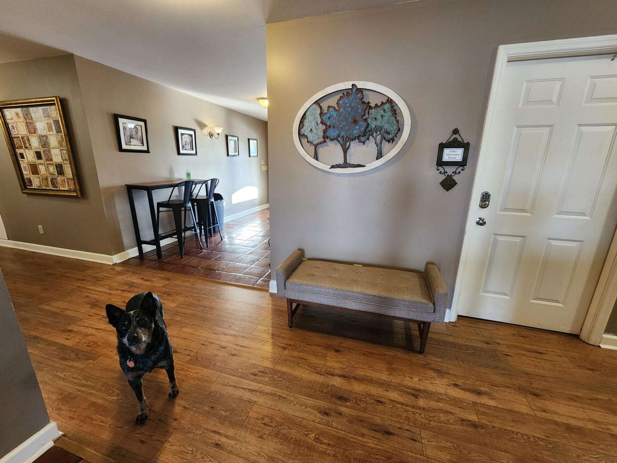 Elder Mountain Room At Tennessee Riverplace Chattanooga Bagian luar foto